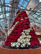 なごみ 伊勢店 徳田 【女】