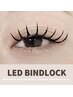 【濃さ×超高持続☆】LEDバインド100束　￥9500