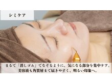 ラビエス(LAVIES)/【結果重視】プラズマ/シミケア