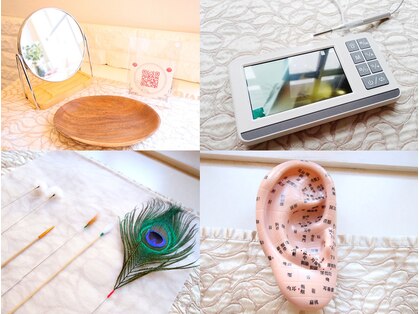 みみもふの写真