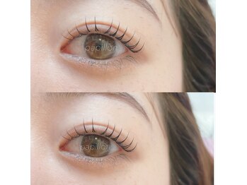 シュシュ(Chou Chou)