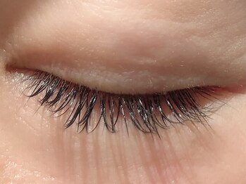 カラン 焼津店(CALIN)/フラットラッシュ100本