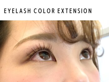 ディーメイプル(D maple)/ブラウンカラーは5色から★