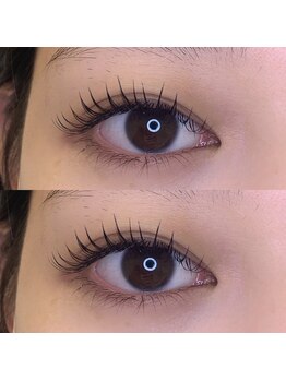 ヒルズ 原宿(Hills Harajuku)/フラットマットラッシュ120本