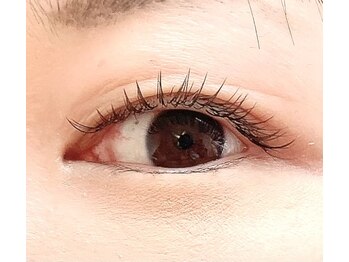 リグ(rig')/ダークブラウン