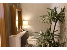 美々百花 the SPA