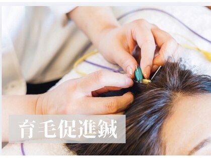 ハリキュア(Hari-Cure)の写真