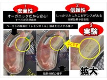 サロンフィーユ(Fille)/レモンボトル実験