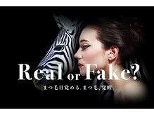 -LASHADDICT-ラッシュアディクト