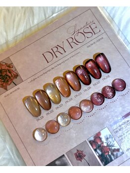 プリュネブランシュネイル(Prune Blanche Nail)/くすみローズカラー入荷！