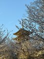 ルアナネイルナゴヤ(LUANA nail nagoya) 国内旅行が趣味です!今年の4月は京都へお花見に行きました
