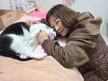 キレイ(KIREI)/看板猫☆