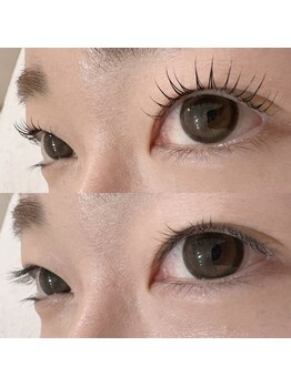 ビューティー アイラッシュ ベルウインク(Bellewink)/まつげパーマ