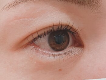 サロン ド ボーテ タカハシ(salon de beaute Takahashi)/まつ毛パーマデザイン
