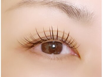 アユミ アイラッシュ サロン プロ ドレ(Ayumi.)/バインドロック100束 ダークモカ