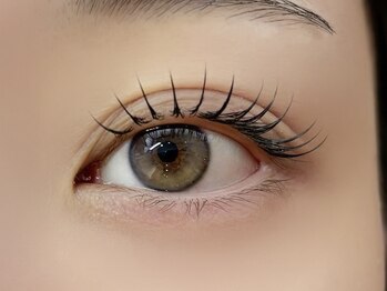 プロシェ 大宮店(Proche)の写真/プレミアムセーブル新規120本￥4200/140本￥4700★自まつ毛によく馴染み、自然なボリュームでモテ可愛EYE♪