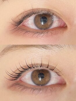 ミディプラス(middy plus)の写真/【感動の仕上がり】"ぱっちり魅せる"まつ毛パーマでアナタ史上『1番可愛い』を！貴方の理想の目元に♪