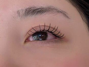 プリン(purin.)/シマーラッシュ100本