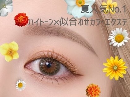 リベロ(Libero)の写真