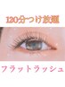 3/19限定!! &nbsp;最新フラットラッシュ　上90分付放題【オフ込】　5980円