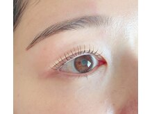 ロータス(Lotus)/