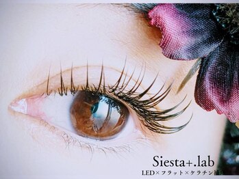 シエスタプラスラボ(Siesta+lab)