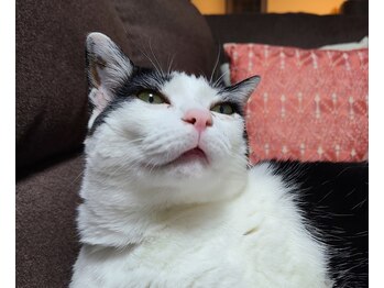 キレイ(KIREI)/海苔巻君