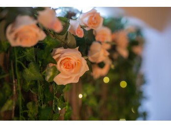 メヴィ エール(Mavie Ailes)/極上の体験を♪