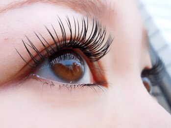 シュシュ(chou chou)/LEDバインドロック500本