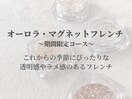 オーロラ・マグネットフレンチ