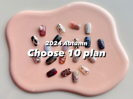 Hand Choose 10 plan