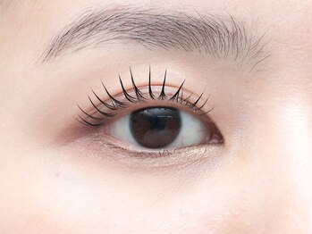 セレブヒルズ 横浜関内店(Celeb Hill's)/まつげパーマ