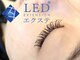 マハナ 錦糸町店(Mahana)の写真/モチでお悩みの方はLEDエクステやバインドロックがおススメ◎ダメージレスまつげパーマは4980円～も人気♪