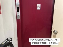 シュティア(Stier)/