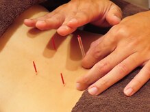 リファイン 渋谷 メガドンキ店