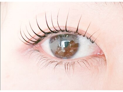 アンルーム(an room)の写真