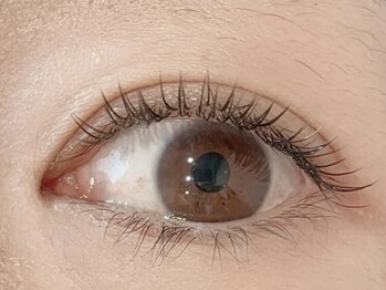 ダズル(DAZZLE)/フラットラッシュ130本