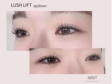 ミント(MINT make)の雰囲気（ラッシュリフト上下＊目力UP）
