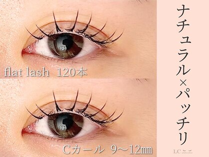 エルシー 金山店(LC)の写真