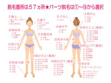 ミンティー 難波店/都度払い脱毛/女性１８パーツ