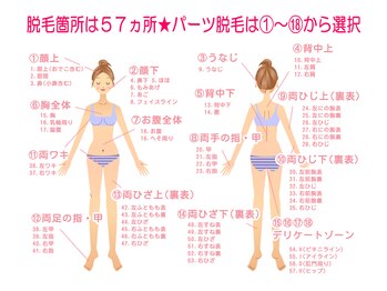 ミンティー 難波店/都度払い脱毛/女性18パーツ