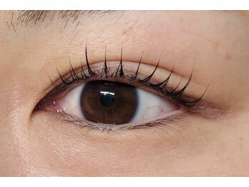 ラシック(Lachic)/まつパ