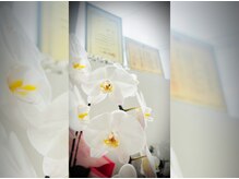 バロニワ(BARONIWA)の雰囲気（オーダーメイドで仕上げる「似合わせ」まつげパーマも♪）