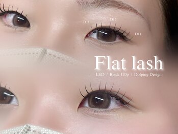 トータルビューティー ララ(Total Beauty RARA)/LEDフラットラッシュ120本6980円