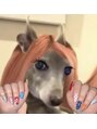 エフアンドティー(F&T)&nbsp;サン サン