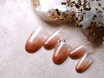 パラジェル/フィルイン/八王子