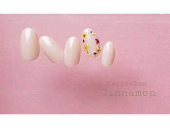 シナモン(Cinnamon)/定額デザイン56