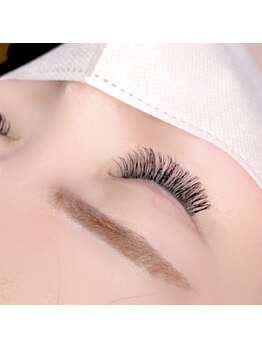 リベルタ(Liberta)/バインドロック120束