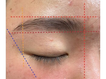 ブラックスワン(Black Swan)/骨格診断・マッピング