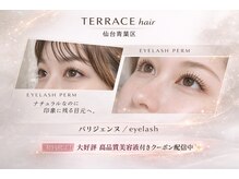 テラスヘア 仙台 青葉区 広瀬通(TERRACE)